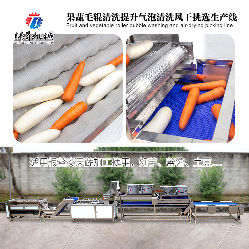 果蔬毛辊清洗提升气泡清洗风干挑选生产线 毛辊机 风干机 清洗机