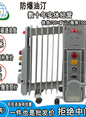 矿用取暖器 隔爆本安型 RB2000/127 煤矿井上用防爆油汀