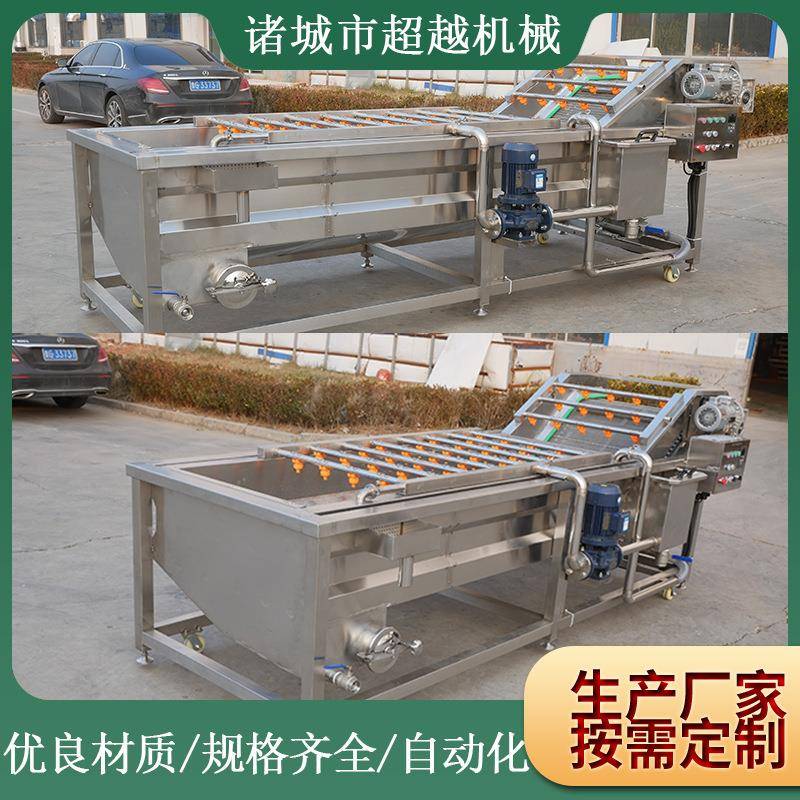 实体厂家推荐果蔬清洗机全自动翻浪式气泡清洗机大枣蔬菜洗菜机