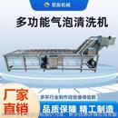 商用多功能全自动气泡清洗机果蔬净菜清洗加工设备高压喷淋清洗机