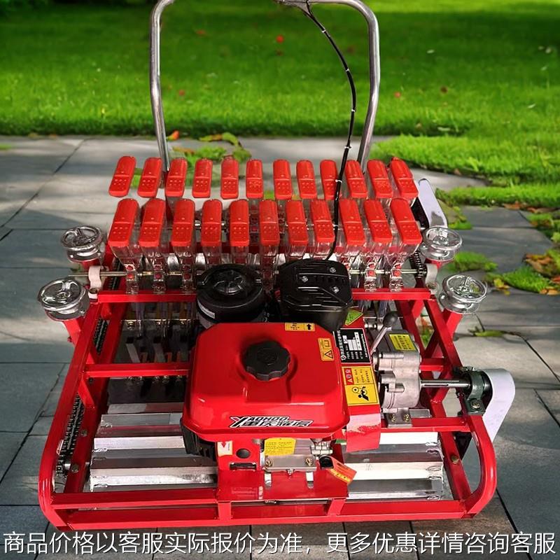 柴胡防风白术桔梗播种机 白菜洋葱芹菜点播机 韭菜香菜花菜精播机