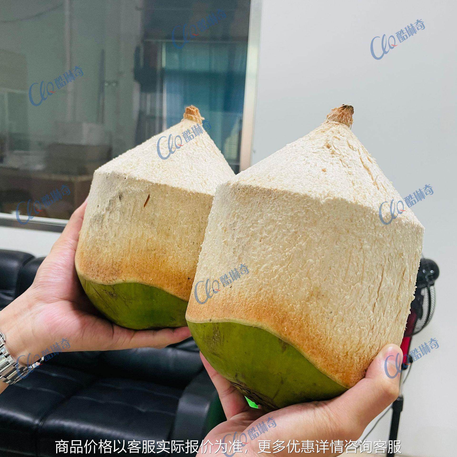 全自动连续式椰青削皮机 新鲜椰子去皮机 嫩椰子剥皮机削椰子设备,清洗/食品/商业设备,果蔬加工设备,淘宝优惠券,粉丝福利购,淘宝优惠卷