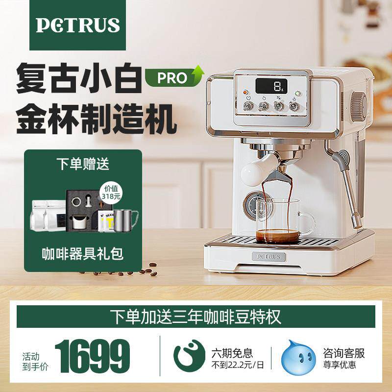 Petrus/柏翠 PE3828GR意式咖啡机家用小型半自动一体复古小白海盐
