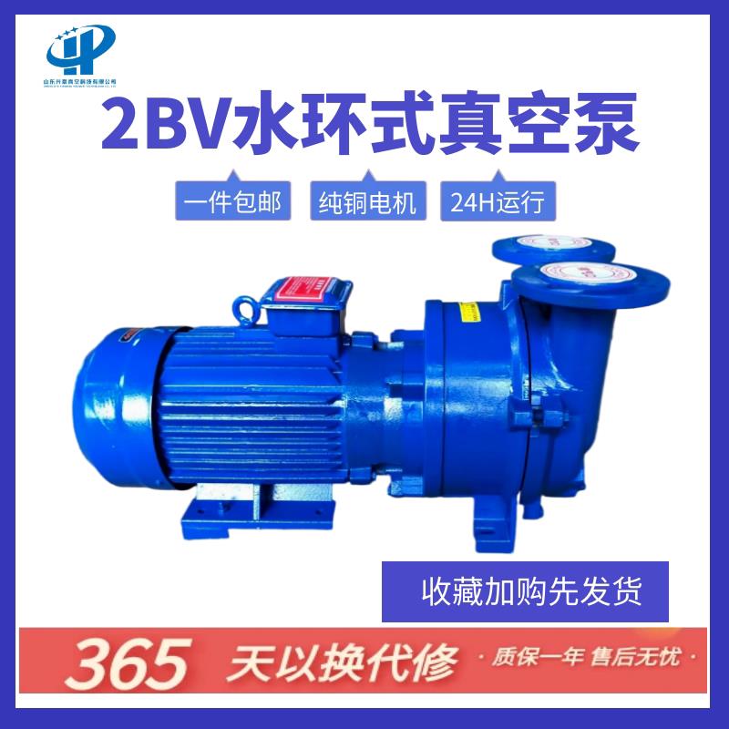官方正品2BV水环式真空泵抽真空热销品真空泵大功率工业用抽气泵