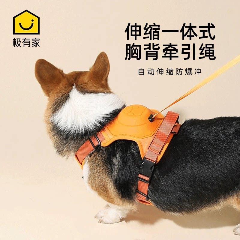 柯基牵引绳伸缩一体式胸自动可伸缩遛狗绳中型犬柯基专用宠物用品