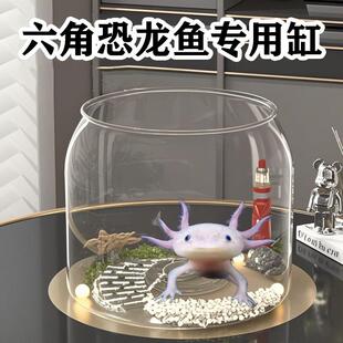 六角恐龙鱼专用缸用品蝾螈宠物观赏鱼缸生态缸爬台观赏家用饲养缸
