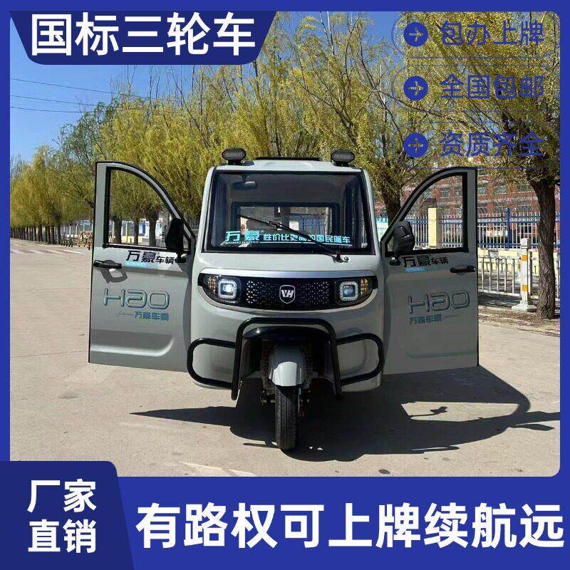 新能源电动三轮车全封闭式5门电动三轮车家用接送孩子代步车