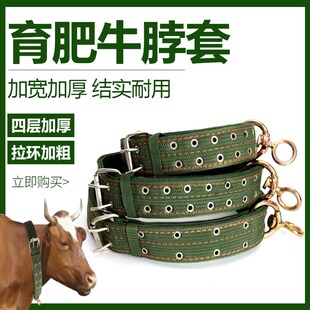 育肥牛脖b套牛笼头手工编织套牛笼头栓牛绳养牛场设备牛项圈