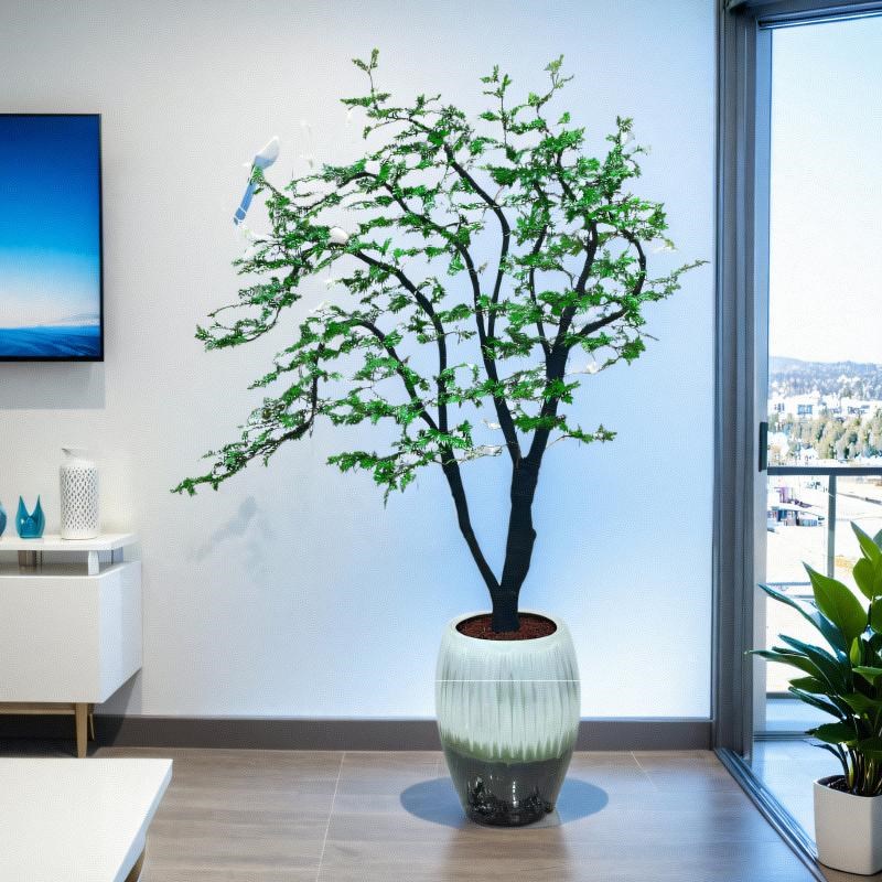 小叶紫檀盆景老桩室内客厅名贵植物办公室禅意绿植黑骨茶高档盆栽