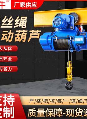 CD1钢丝绳电动葫芦1T2吨T5T10T吊葫芦起重行车无线遥控电动葫芦