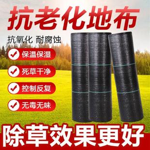 新型防草布除草布抗老化果园果树遮草特厚农用园艺地布渗水盖草布