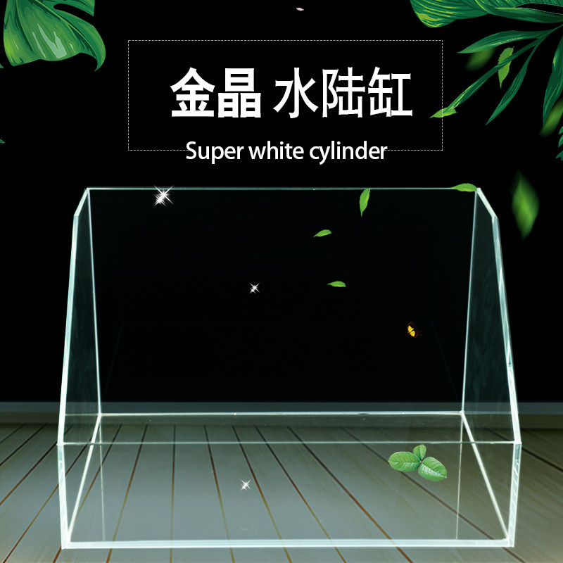 超白水陆鱼缸植物造景缸微景观斜口造景缸乌龟缸两栖生态缸雨林缸