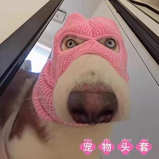 宠物头套创意针织狗狗强盗变装秀外出防风可爱高颜值猫狗通用面罩