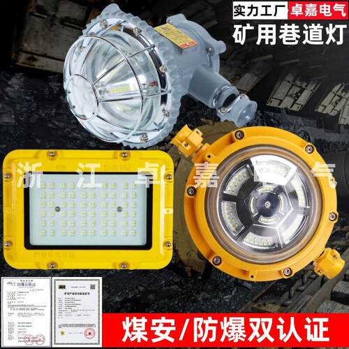 矿用巷道灯DGS18/127L/24w防爆照明灯隔爆型巷道灯井下煤矿专用灯
