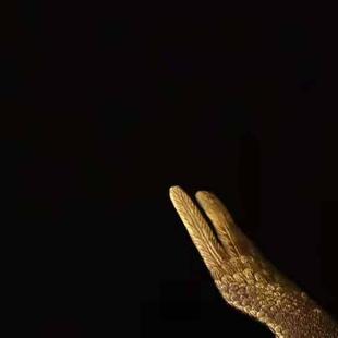 黄铜雄鹰摆件纯铜大展宏图老鹰客厅办公室装饰品店铺开业老鹰摆设