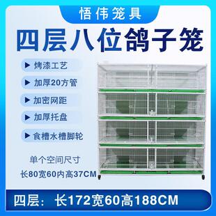 新款配对笼鸽子笼鹌鹑笼信鸽元宝鸽笼带食槽鸽子配对笼包邮鸟笼