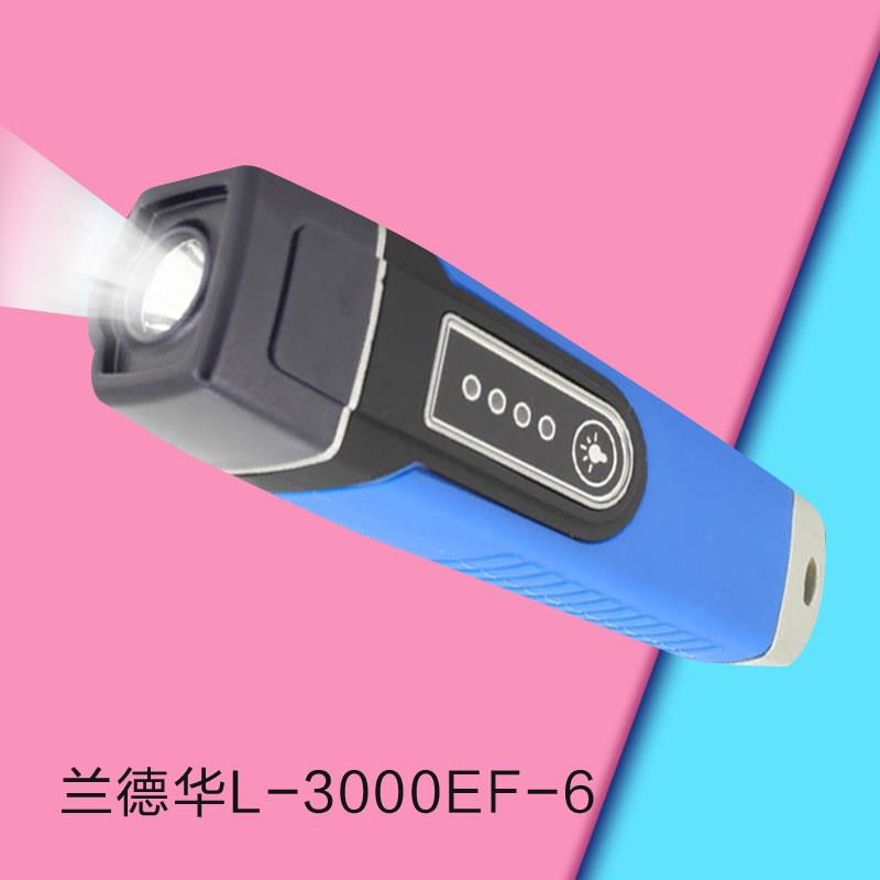 兰德华l-3000ef-6兰金刚巡更棒手电筒照明巡更机电子巡更系统打点
