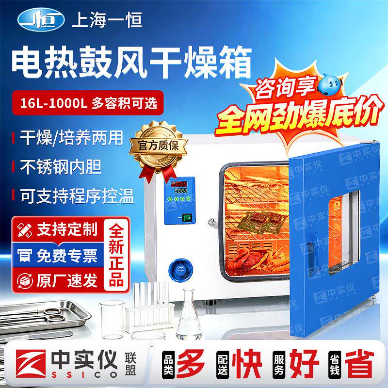 上海一恒电热鼓风干燥箱实验室真空干燥加热恒温工业DHG烘箱烤箱