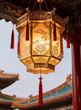 全铜中式仿古吊灯实木餐厅客厅灯具中国风雕花流苏吊灯戏曲风宫灯