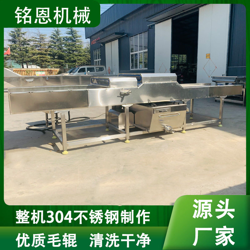 甘蔗清洗机自动清洗甘蔗传送带输送操作简单不锈钢自动洗甘蔗设备