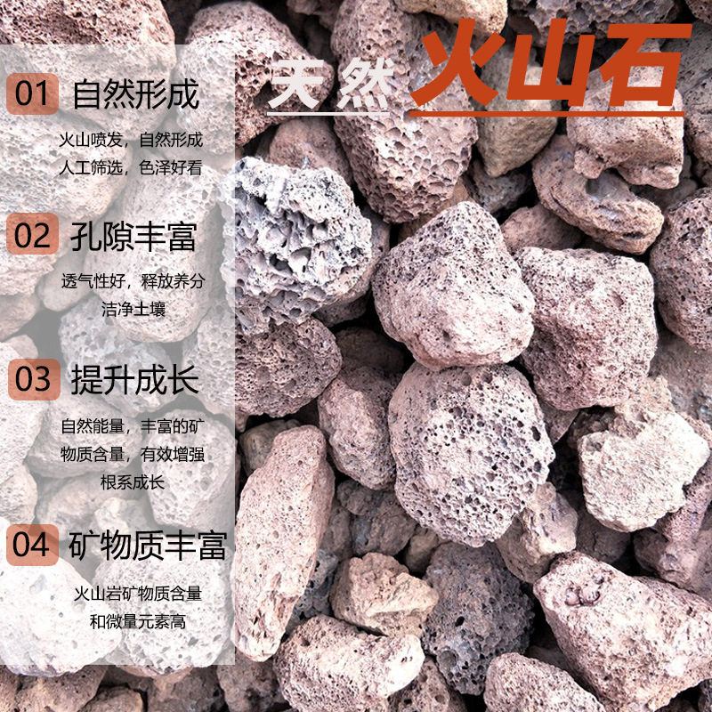 天然红色火山石水族装饰园林造景多肉兰花拌土铺面垫底火山石颗粒,鲜花速递/花卉仿真/绿植园艺,土壤覆盖物,淘宝优惠券,粉丝福利购,淘宝优惠卷