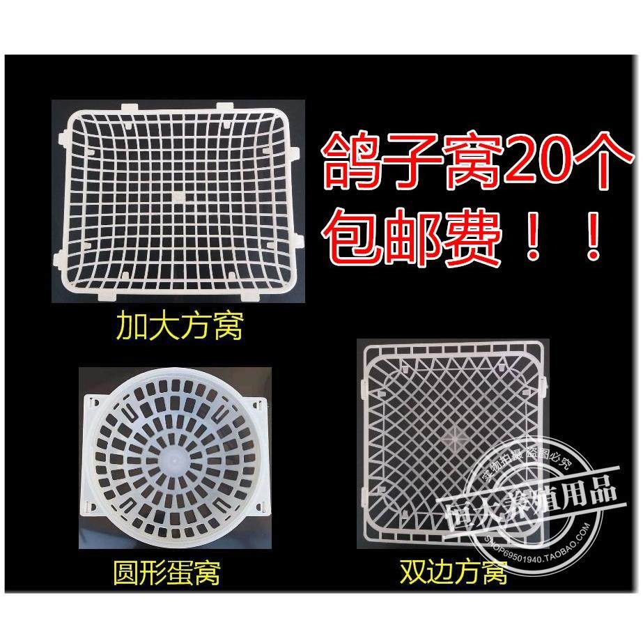 恒大 鸽子窝塑料方形蛋窝 蛋盆巢盆蛋筐养殖鸽笼种鸽信鸽用品用具