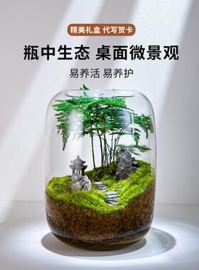 【生命之树】苔藓微景观创意桌面生态缸办公室生日乔迁祝福客厅
