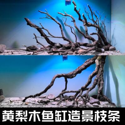 黄梨木枝条南美缸造景沉木黄栎木原生缸枝条黄梨枝鱼缸造景