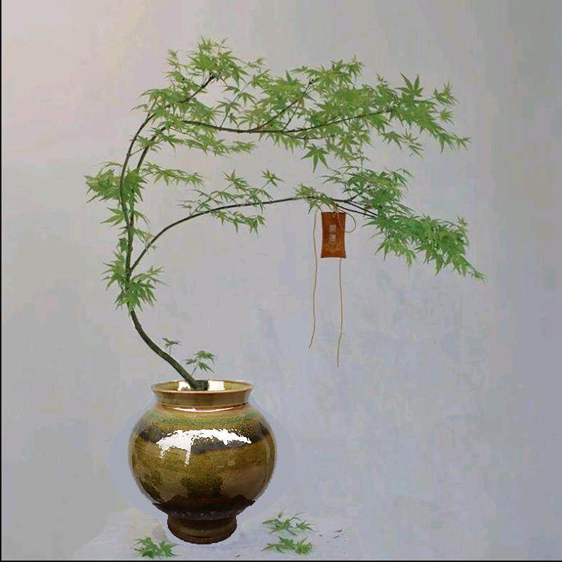 景德镇陶瓷手工拉坯创意透气陶罐花盆花插月亮罐土陶罐子流泉枫盆