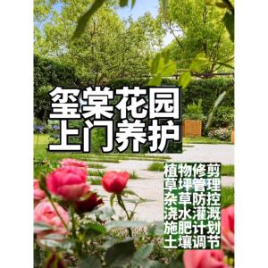 上海花园养护整理草坪修剪花园打理除草园艺维护修剪绿植服务