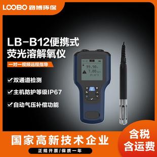 溶氧仪溶解氧分析仪 荧光溶解氧检测仪手持式 B12便携式