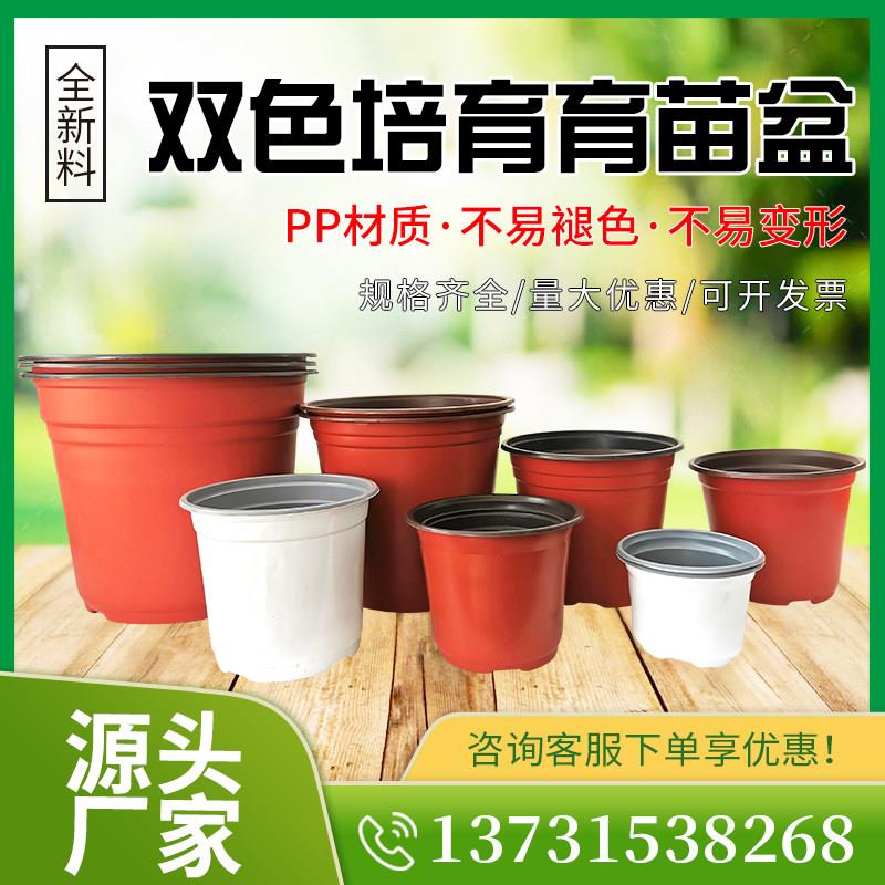 双色盆营养钵简易花盆一次性加厚塑料营养杯盆栽多肉种植育苗盆