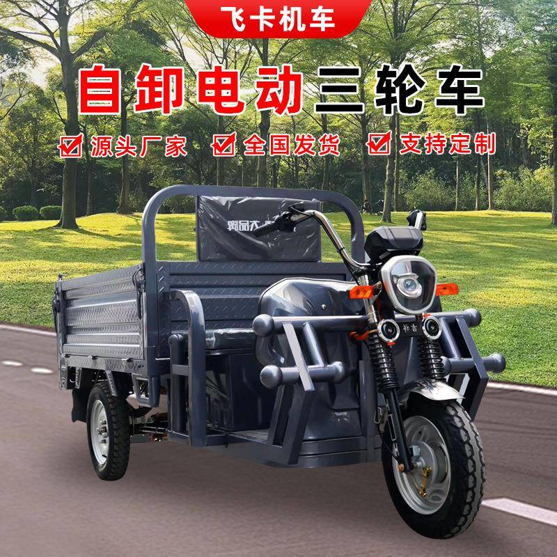 电动三轮车自卸拉货液压翻斗载重王农用车货运成人三蹦子家用出口