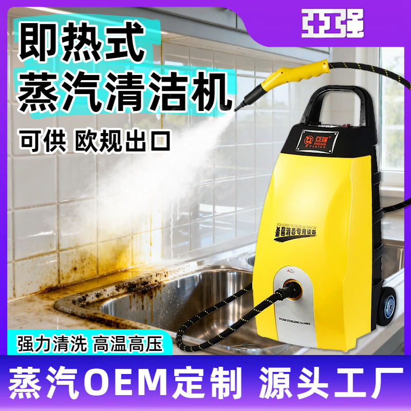 蒸汽清洗机多功能厨房油污高温清洗地毯沙发床垫除菌 蒸汽清洁机