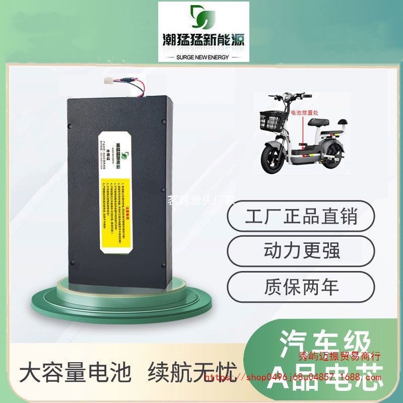 48V12Ah1h电动车锂电池大容量爱玛台铃绿源新日多款通用锂电池