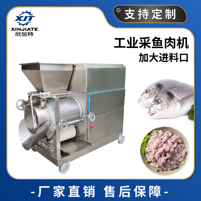 厂家现货工业鱼肉采肉机 快速鱼类采肉机 全自动不锈钢鱼肉采肉机