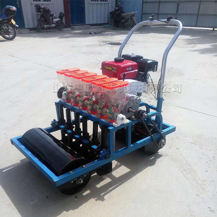 小型蔬菜播种机大棚种子点播机Vegetableseedsowingmachine