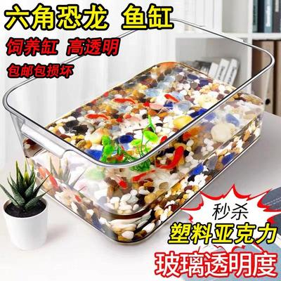 六角恐龙鱼的鱼缸专用蝾螈饲养缸美西小乌龟饲养箱宠物盒锦鲤用品
