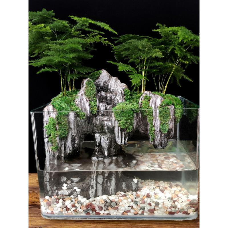 大鱼缸流水造景全套生态微景观小型桌面装饰真植物水陆缸山水造景