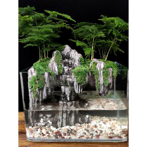 大鱼缸流水造景全套生态微景观小型桌面装饰真植物水陆缸山水造景