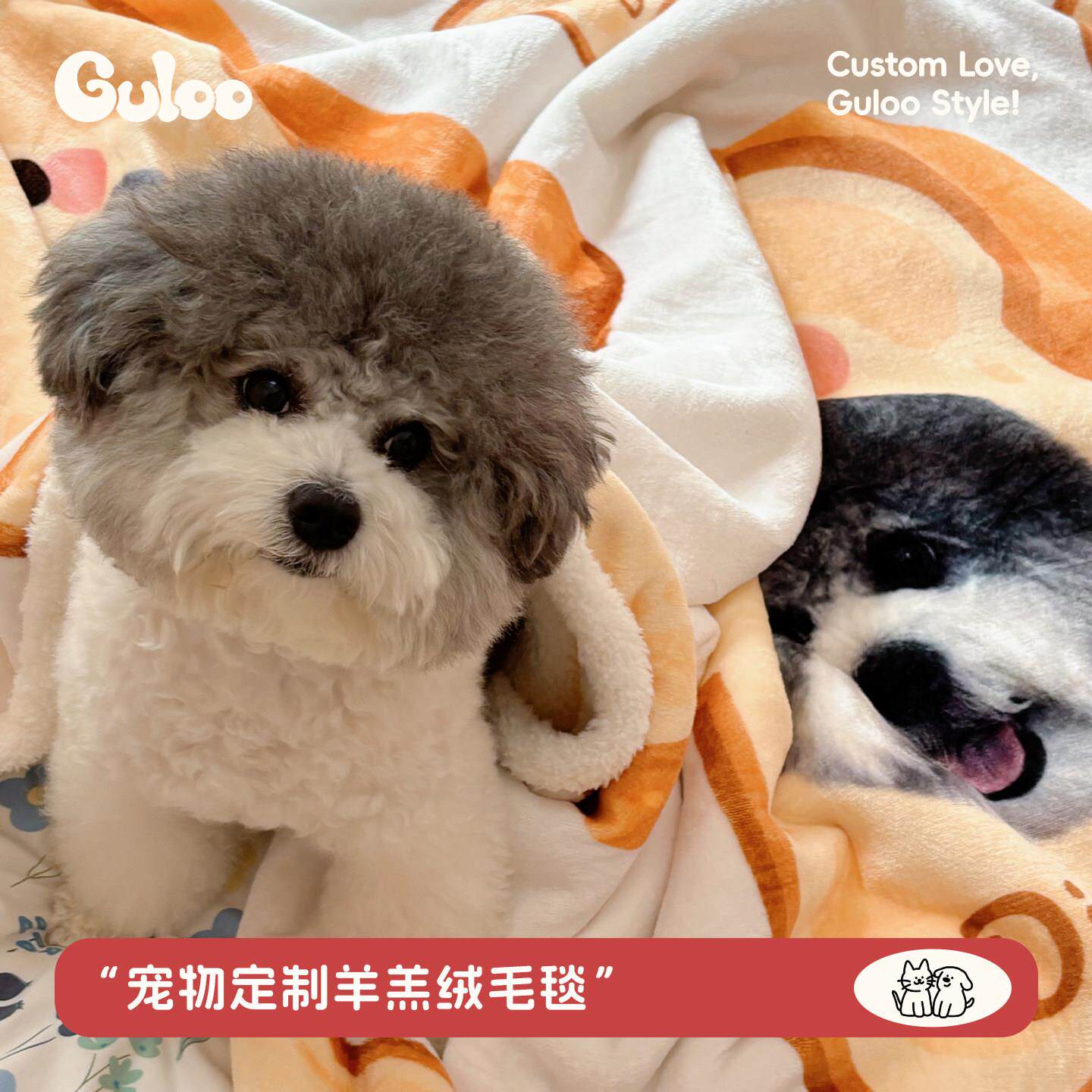 Guloo宠物定制周边原创设计加厚羊羔绒毛毯盖毯沙发午睡毯猫狗
