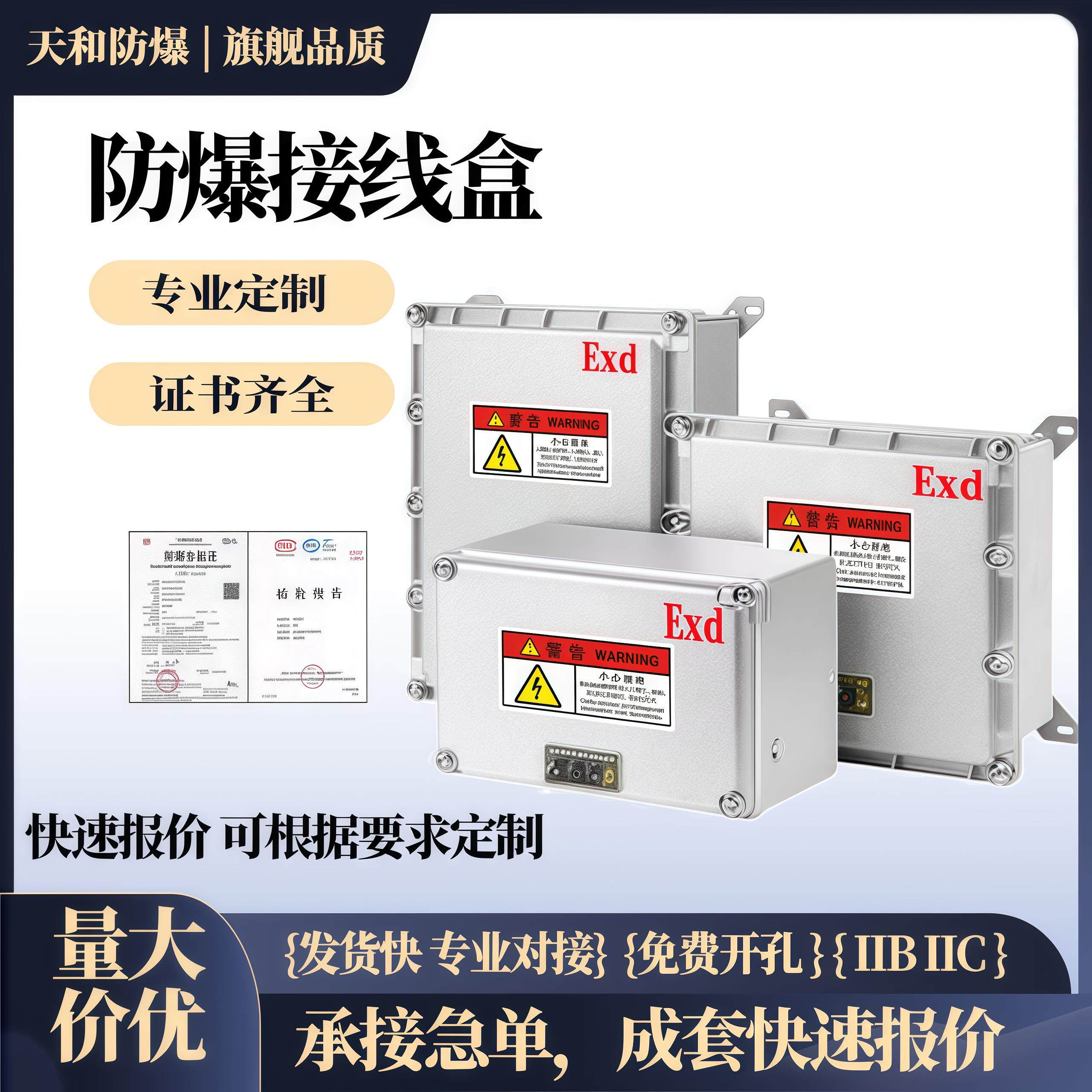 防爆接线箱配电箱300*400电源仪表 照明动力检修开关控制插座空箱
