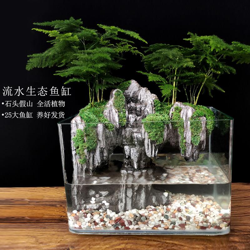 大鱼缸流水造景全套生态微景观小型桌面装饰真植物水陆缸山水造景