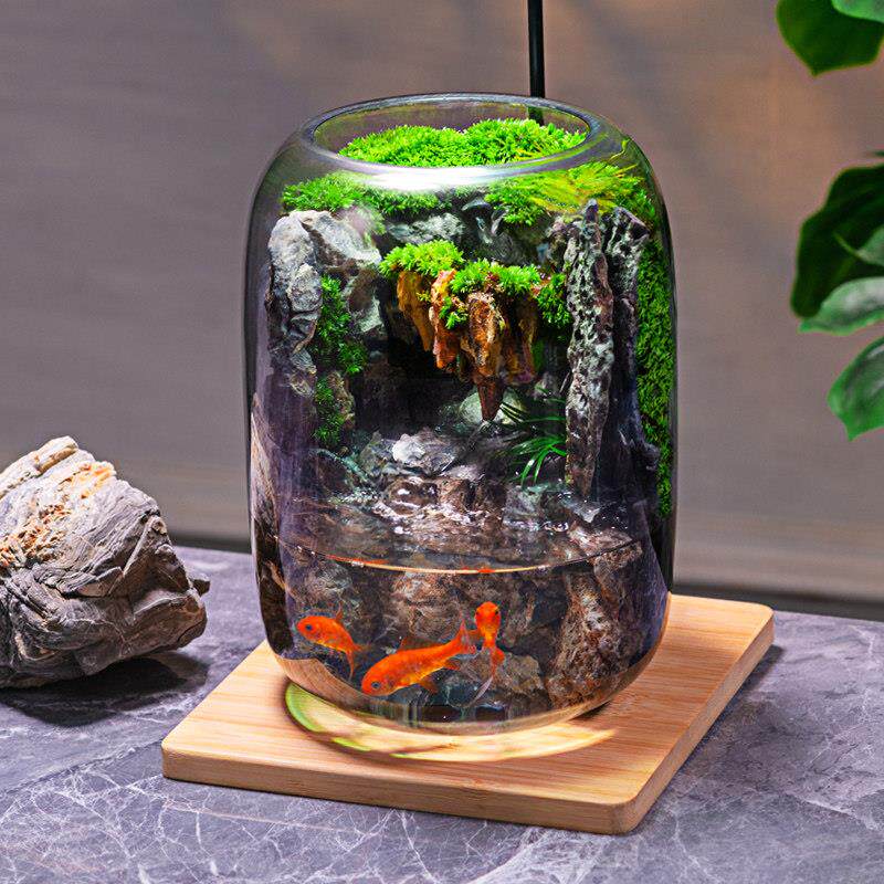 石上清泉流水款养鱼缸真植物苔藓微景观生态瓶办公室成品室内送礼