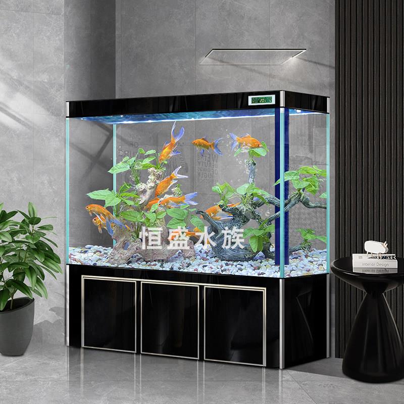 家用2025新款鱼缸客厅超白玻璃落地生态免换水龙鱼缸水族箱底过滤
