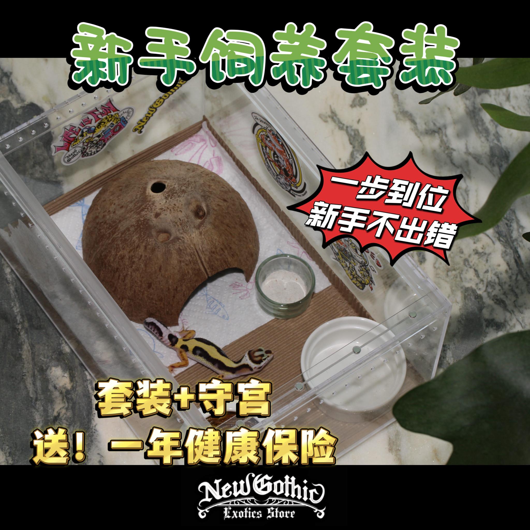 爬宠入门新手饲养套装躲避穴水碗压克力饲养盒