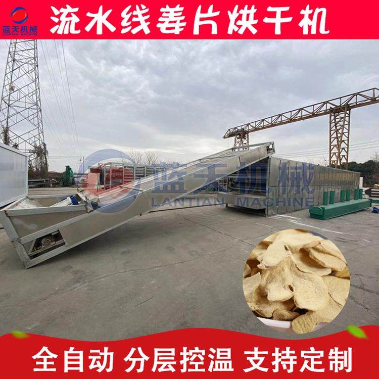 网带式姜片烘干机 云南生姜清洗切片干燥机 大型熟姜片烘干生产线
