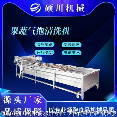 金银花菊花婆婆丁气泡清洗机 茶树菇中药材清洗设备 喷淋式洗菜机