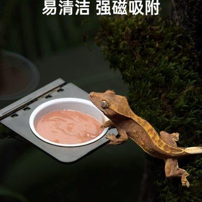 树栖爬宠喂食盆磁吸果泥食盆水盆R属守宫睫角盖勾亚挂壁喂食器