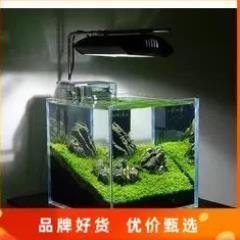 超白鱼缸 25cm 水族箱 50厘米小方缸热弯缸迷你 生态缸20